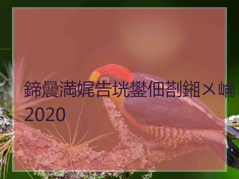 鍗曟満娓告垙鐢佃剳鎺ㄨ崘2020