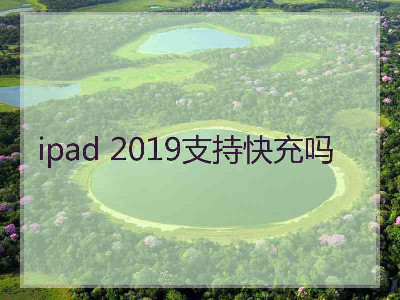 ipad 2019支持快充吗