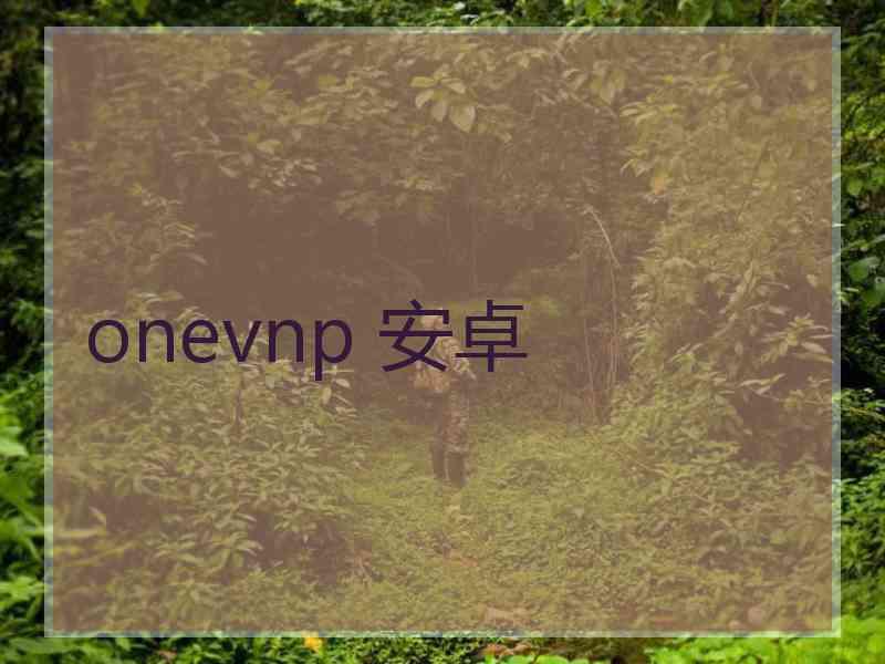 onevnp 安卓