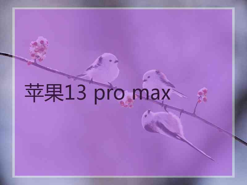 苹果13 pro max