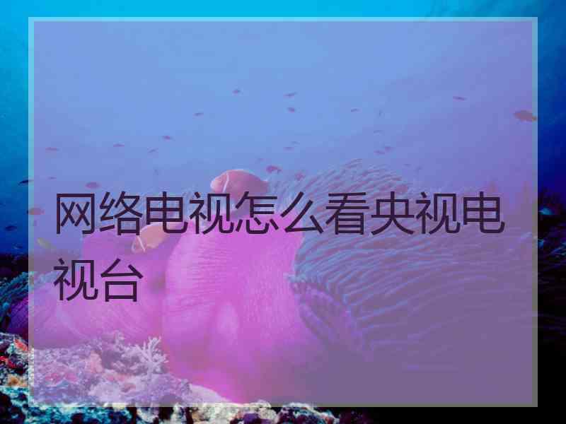 网络电视怎么看央视电视台