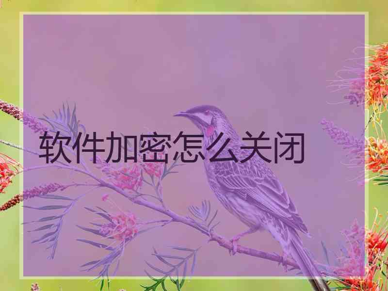 软件加密怎么关闭