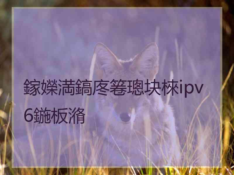 鎵嬫満鎬庝箞璁块棶ipv6鍦板潃