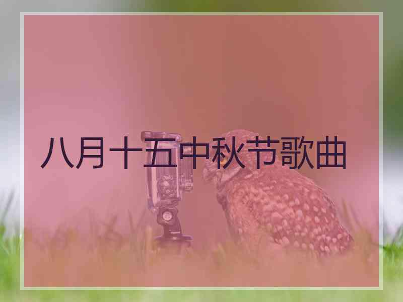 八月十五中秋节歌曲