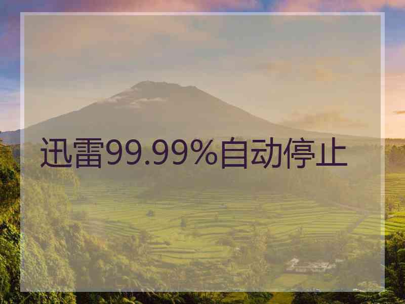 迅雷99.99%自动停止