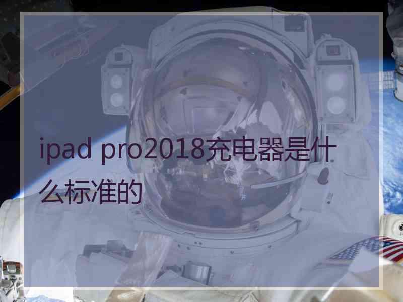 ipad pro2018充电器是什么标准的