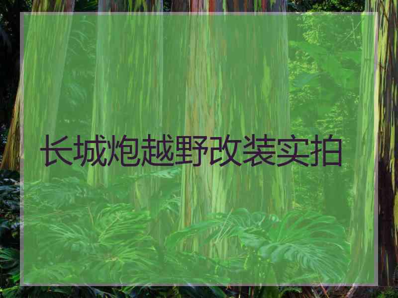 长城炮越野改装实拍