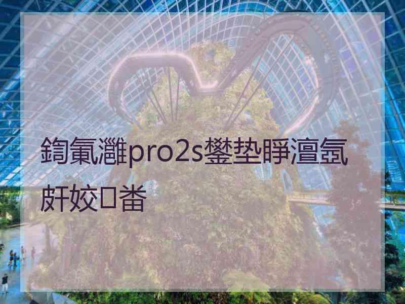 鍧氭灉pro2s鐢垫睜澶氬皯姣畨