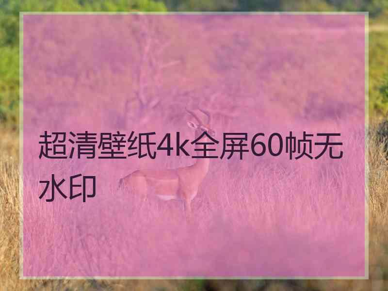 超清壁纸4k全屏60帧无水印