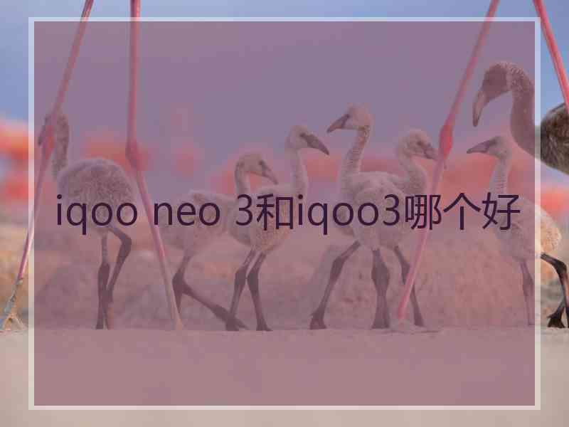 iqoo neo 3和iqoo3哪个好