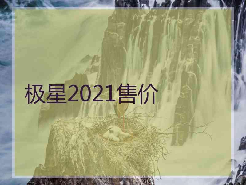 极星2021售价