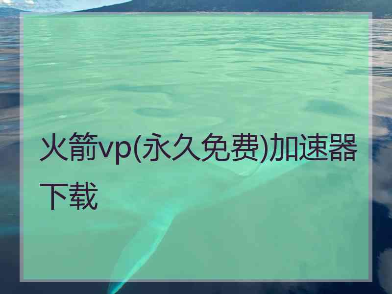 火箭vp(永久免费)加速器下载