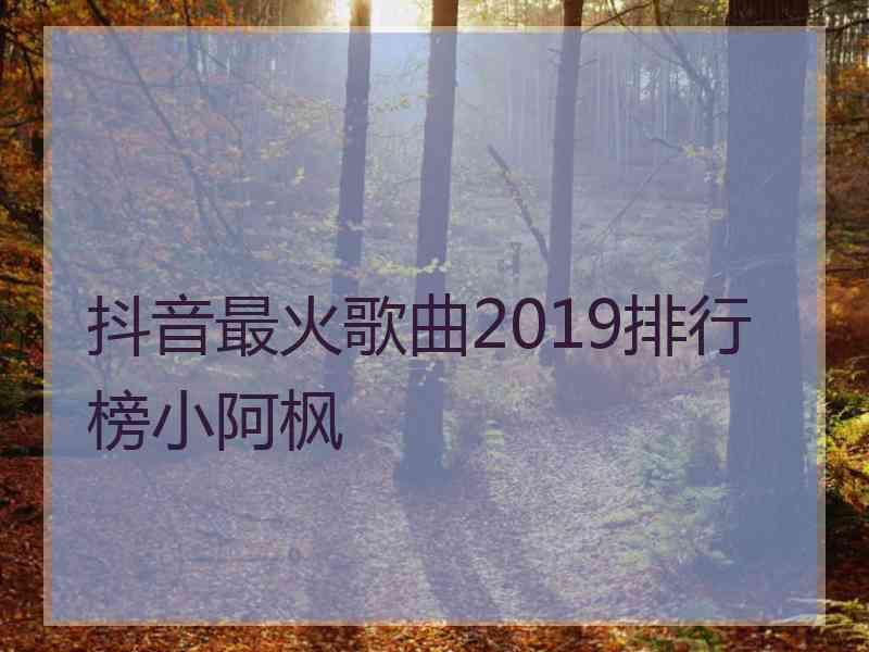 抖音最火歌曲2019排行榜小阿枫