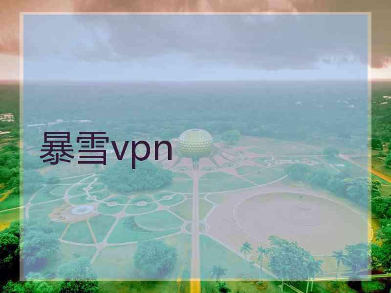 暴雪vpn