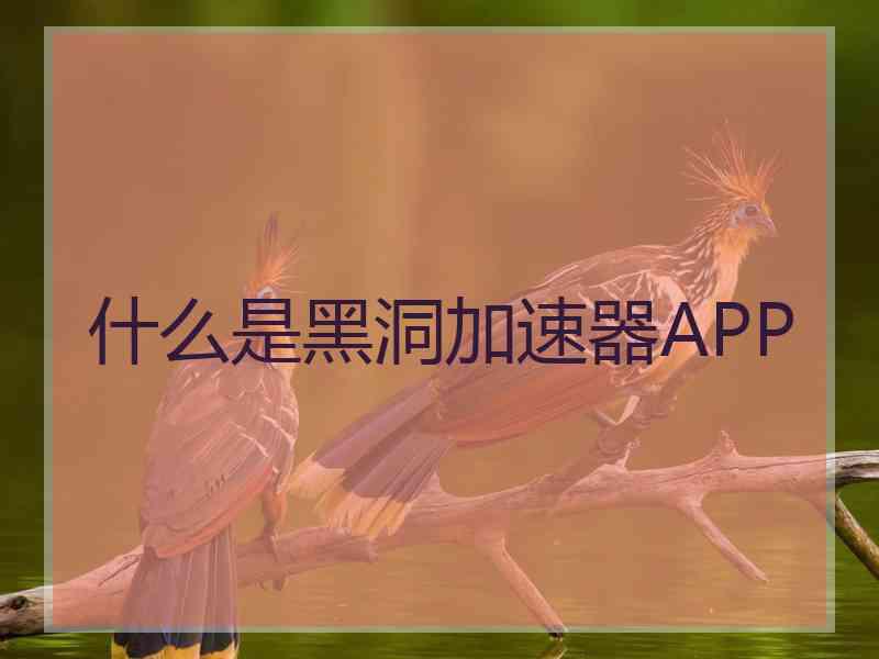 什么是黑洞加速器APP