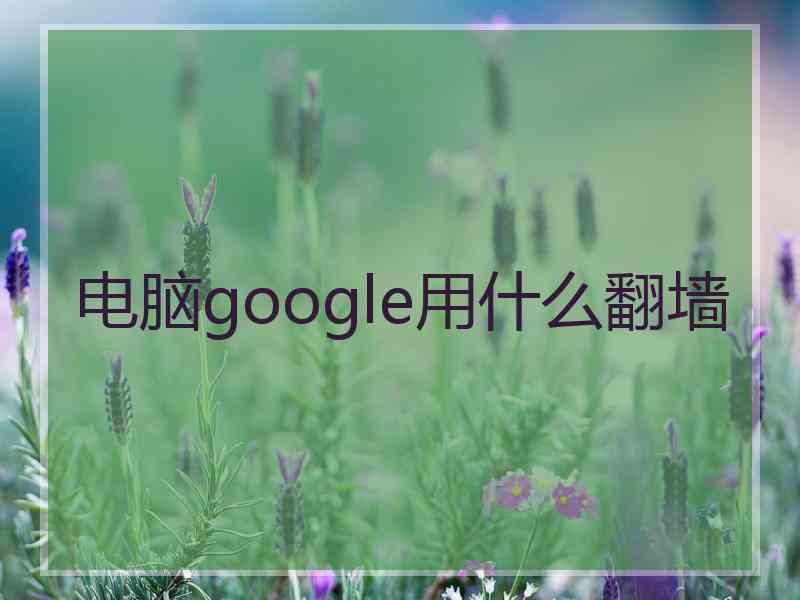 电脑google用什么翻墙