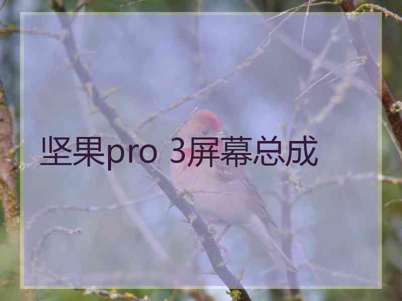 坚果pro 3屏幕总成