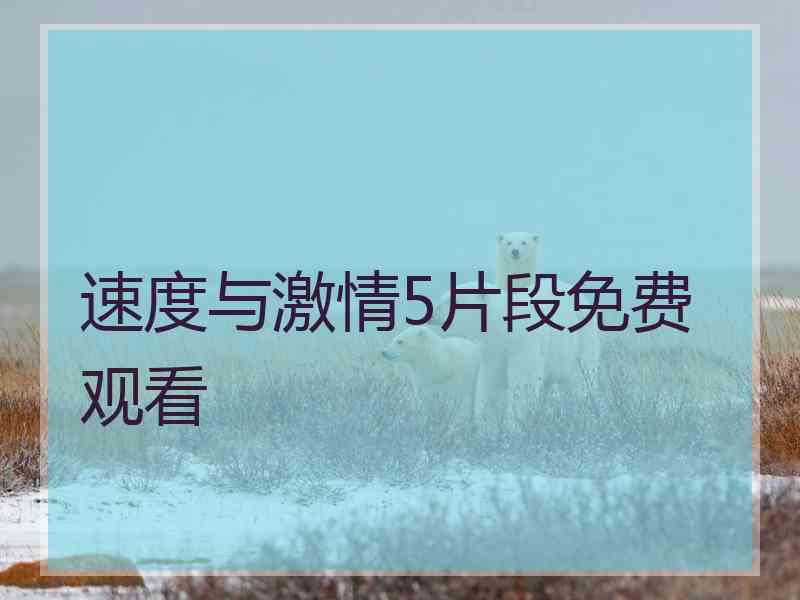 速度与激情5片段免费观看