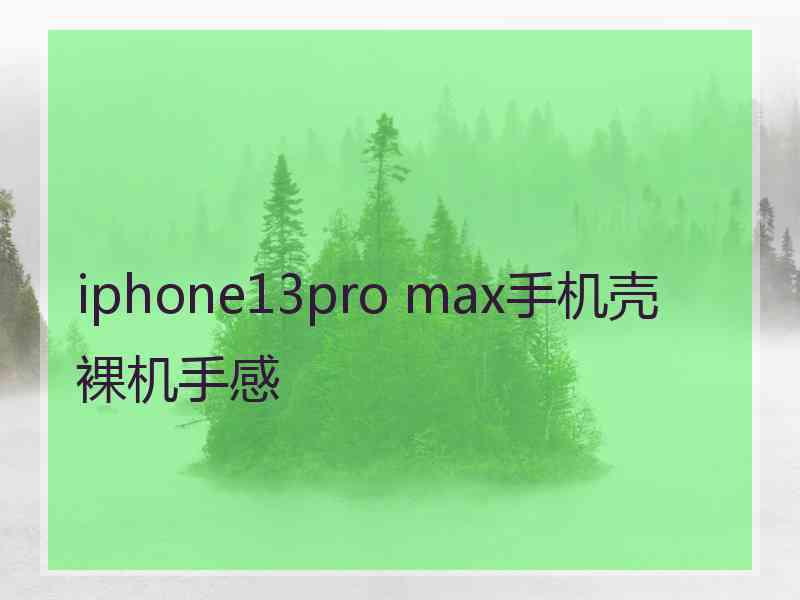 iphone13pro max手机壳裸机手感