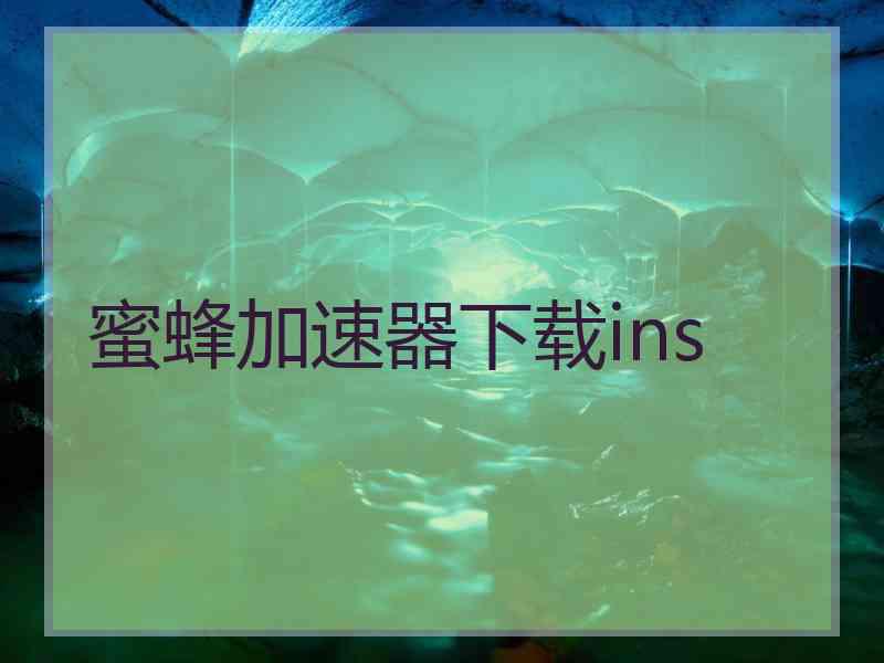 蜜蜂加速器下载ins