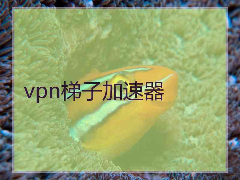 vpn梯子加速器