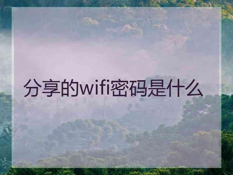 分享的wifi密码是什么