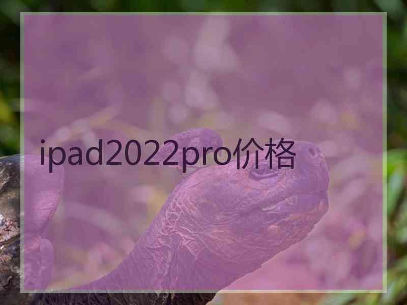 ipad2022pro价格