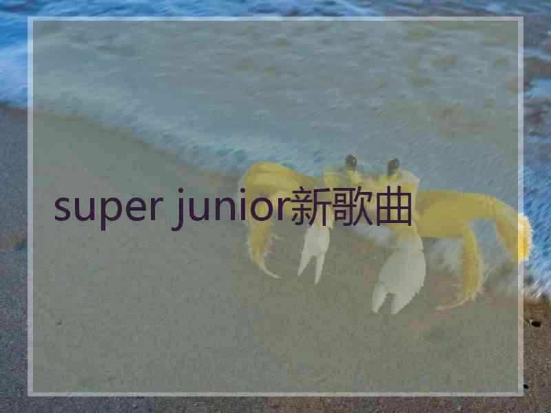 super junior新歌曲