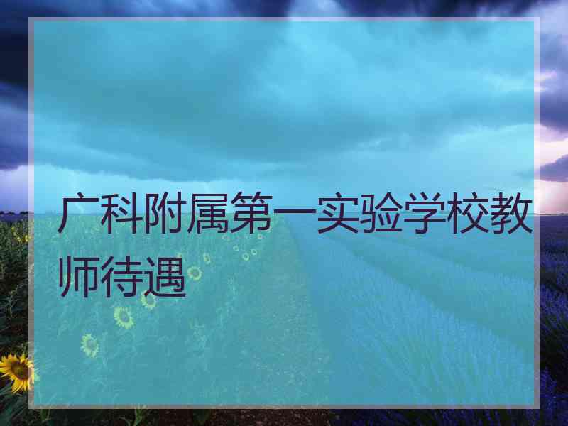 广科附属第一实验学校教师待遇