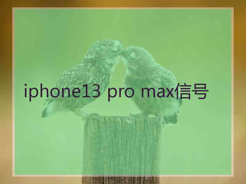 iphone13 pro max信号
