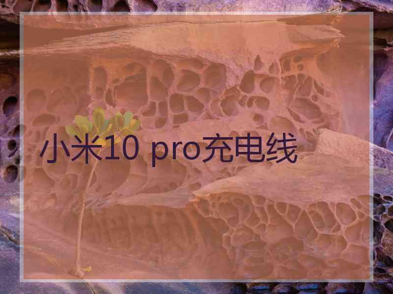 小米10 pro充电线