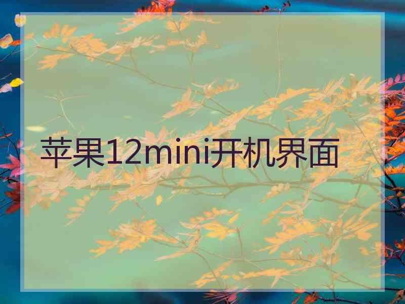 苹果12mini开机界面