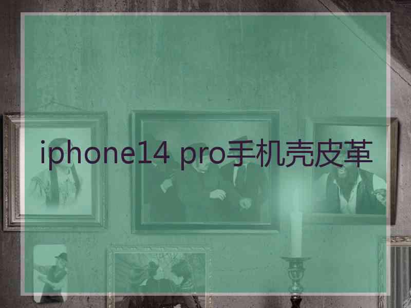 iphone14 pro手机壳皮革