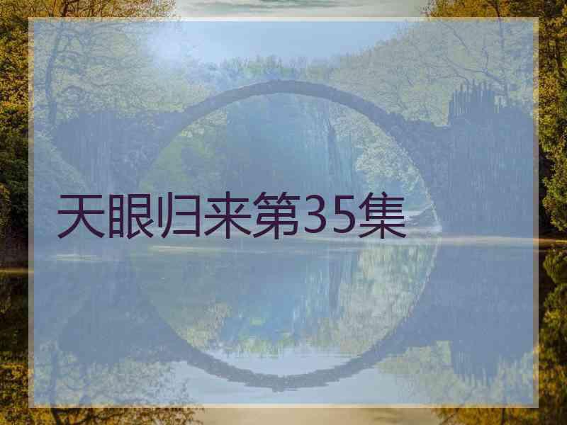 天眼归来第35集