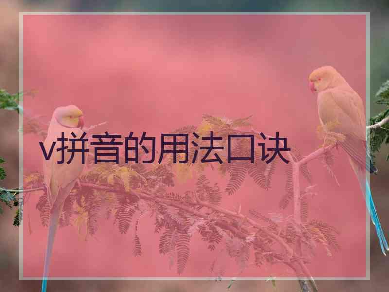 v拼音的用法口诀