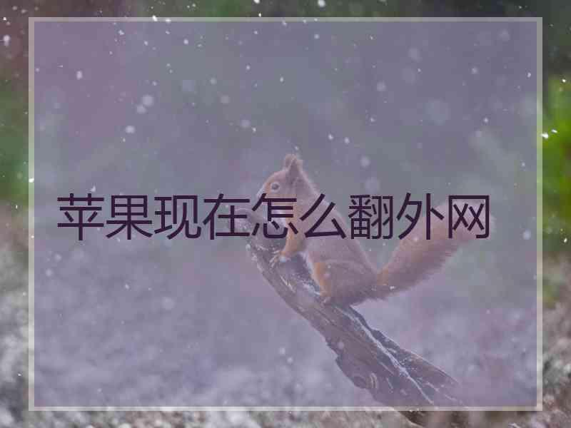 苹果现在怎么翻外网