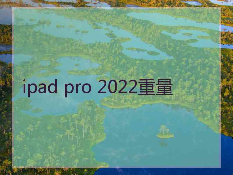 ipad pro 2022重量