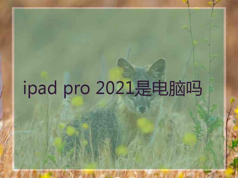 ipad pro 2021是电脑吗