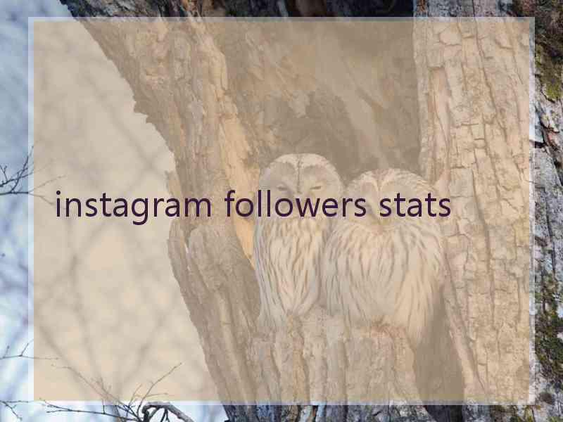 instagram followers stats