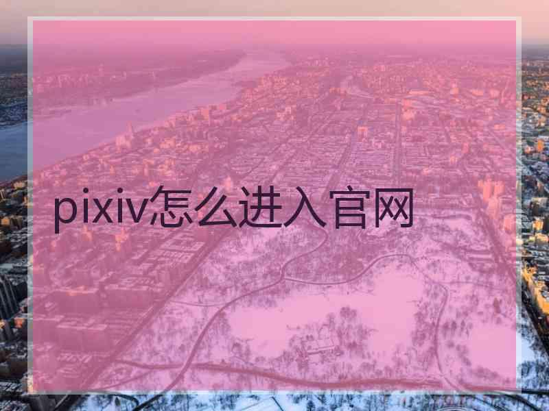 pixiv怎么进入官网