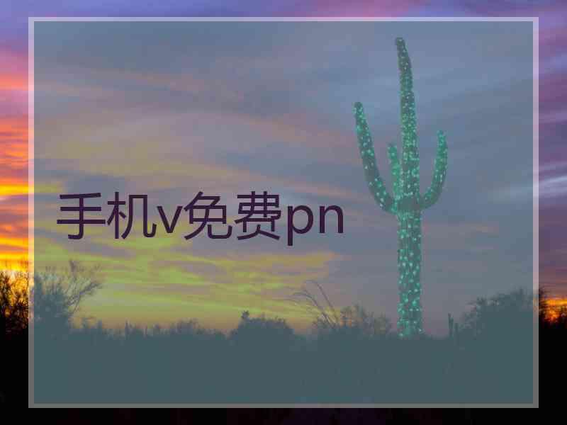 手机v免费pn