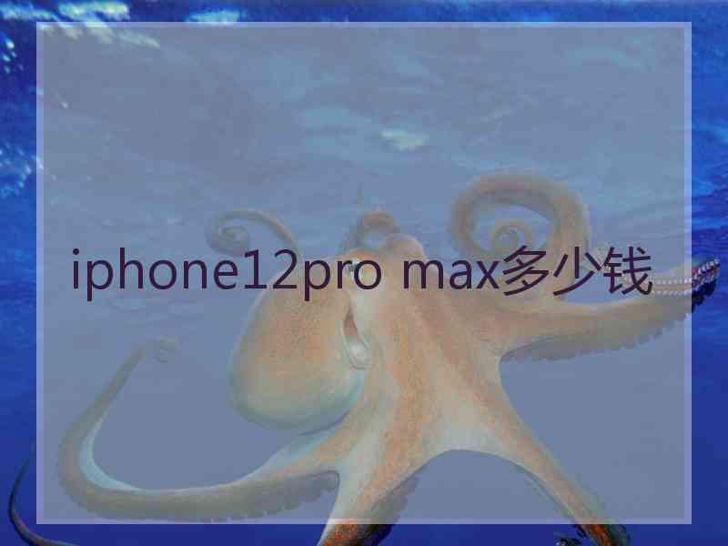 iphone12pro max多少钱