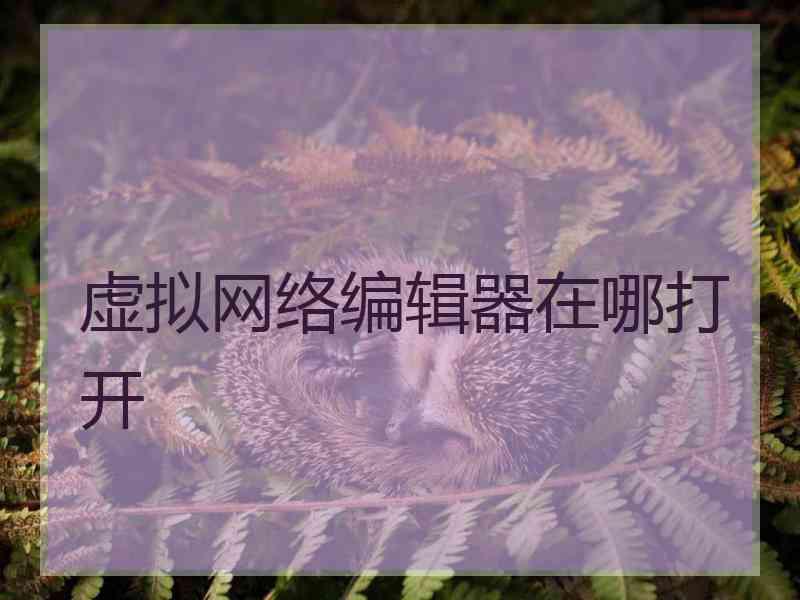 虚拟网络编辑器在哪打开