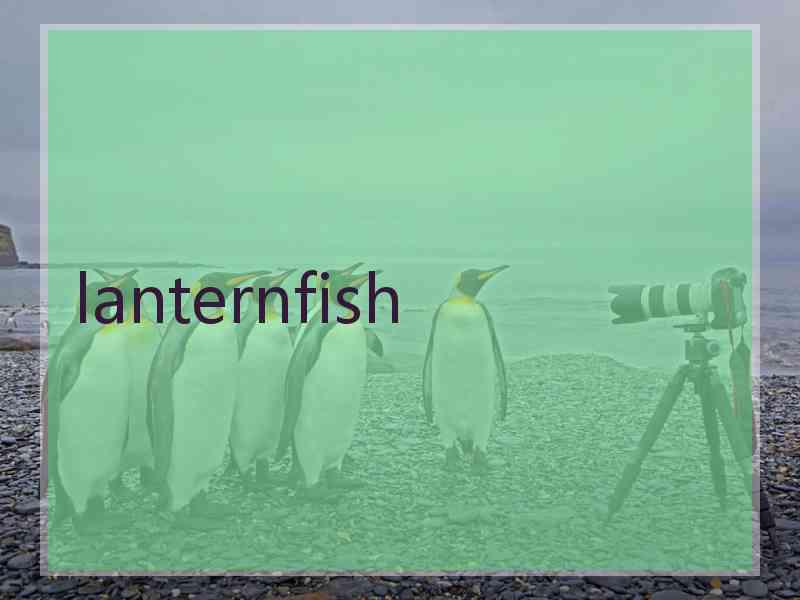 lanternfish