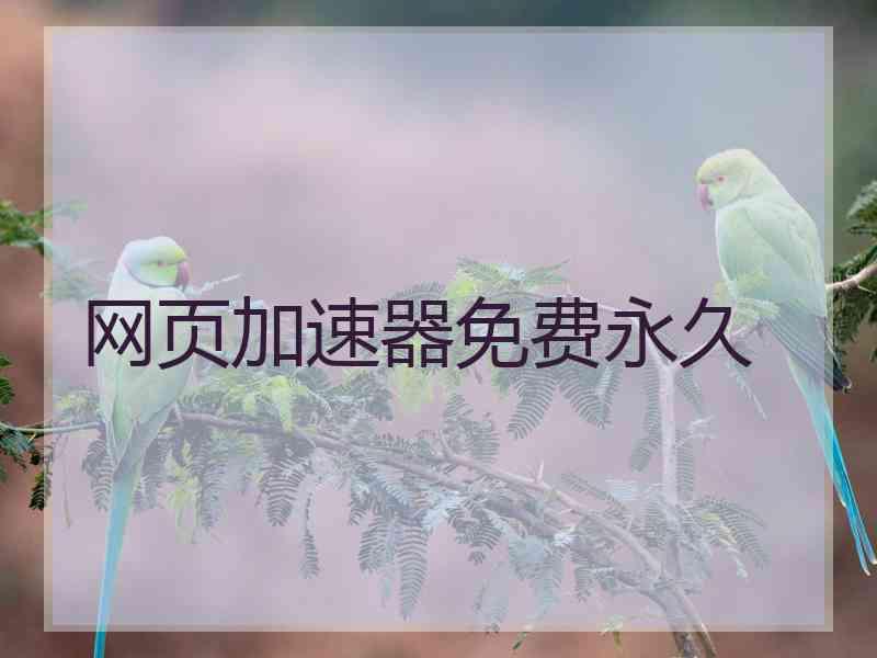 网页加速器免费永久