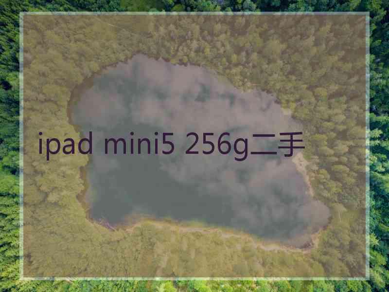 ipad mini5 256g二手