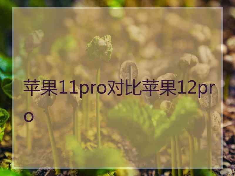 苹果11pro对比苹果12pro