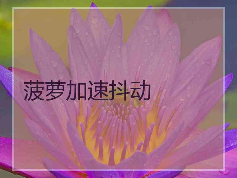 菠萝加速抖动