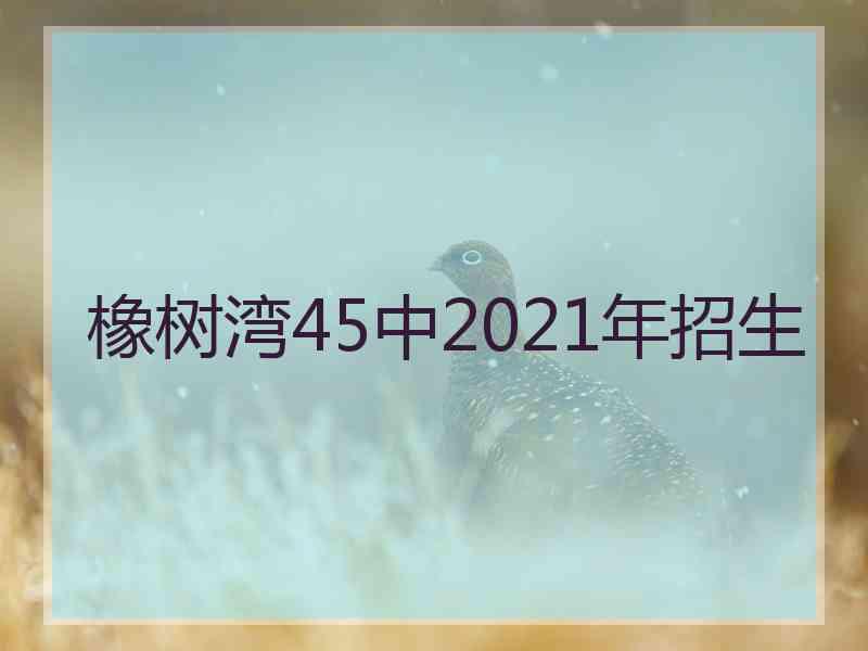 橡树湾45中2021年招生