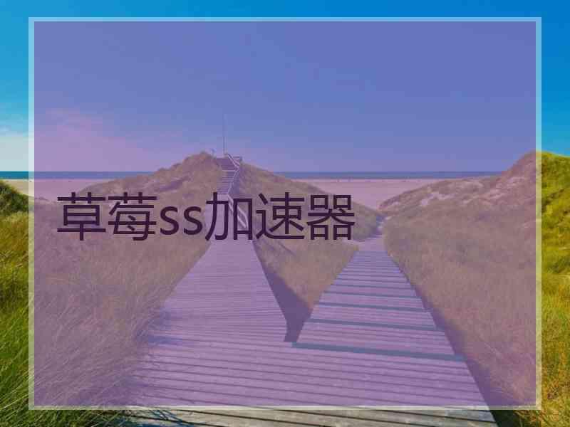 草莓ss加速器